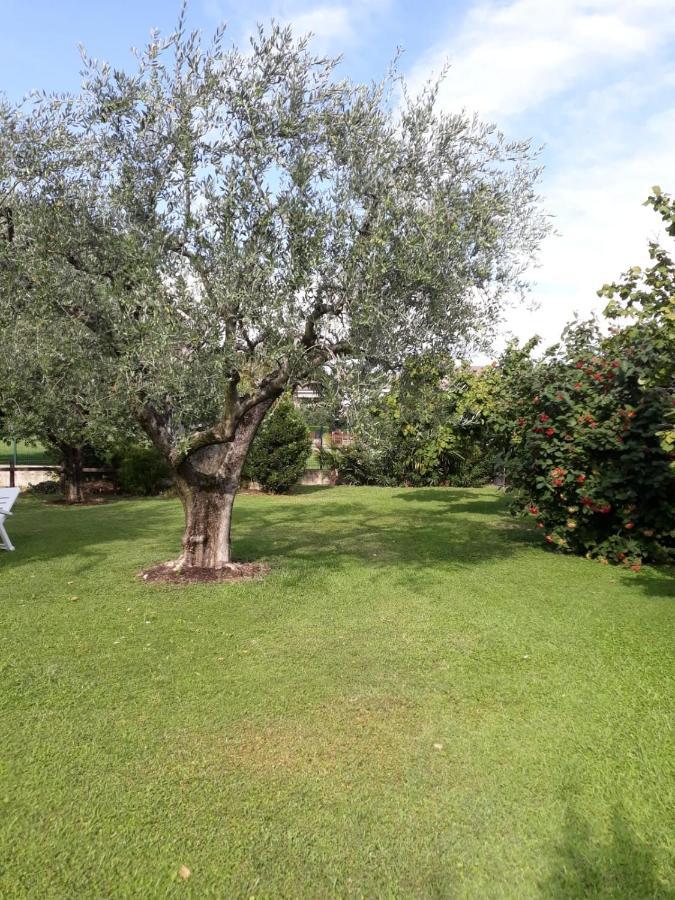 Appartamento Alice Cavaion Veronese Exterior photo